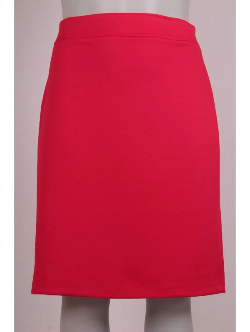 Straight Faux Plain Skirt